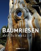 Michel Brunner: Baumriesen der Schweiz Michel Brunner: Baumriesen der Schweiz
